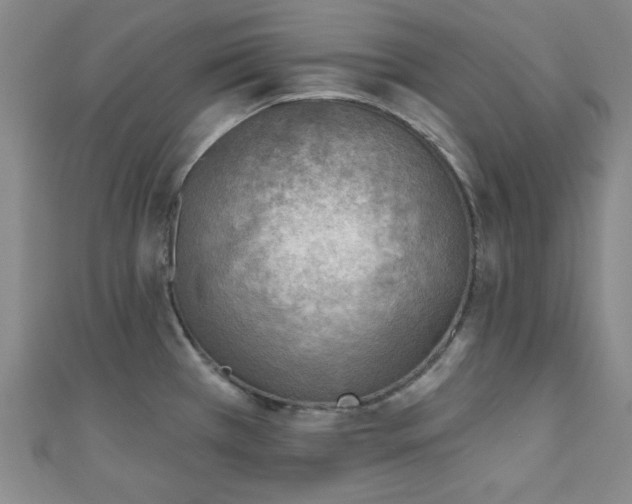 X0000111001385200906191542