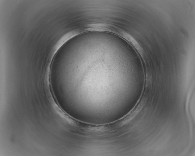 X0000111001386200906191542