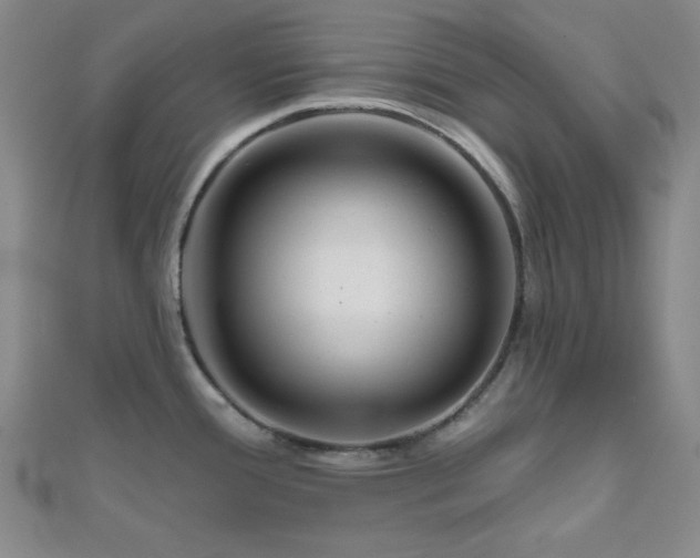 X0000111001388200906191542