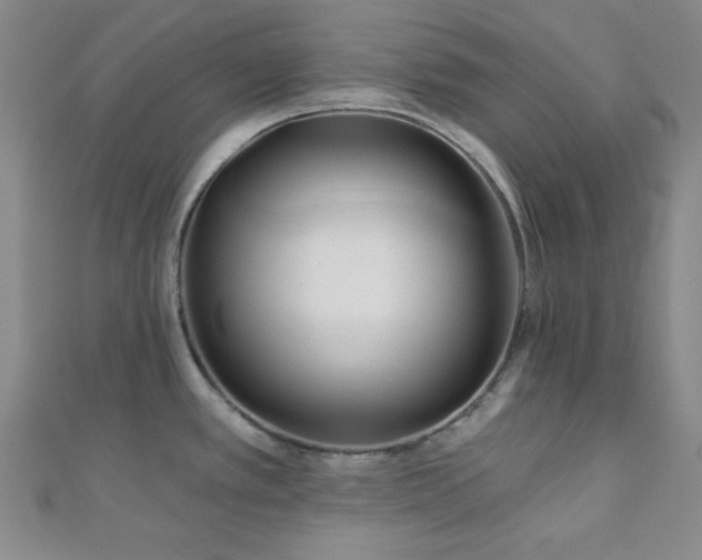 X0000111001389200906191542
