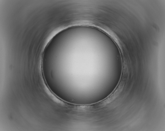 X0000111001390200906191542