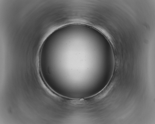 X0000111001391200906191542