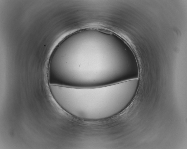 X0000111001392200906191542