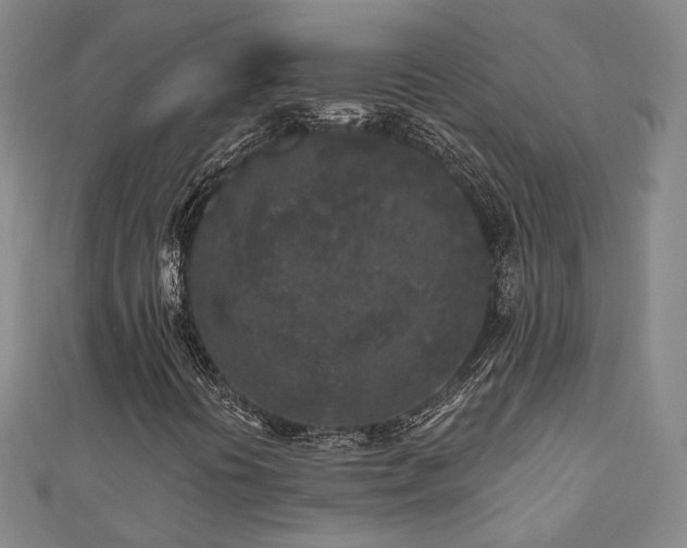 X0000111001394200906191541