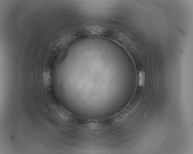 X0000111001395200906191541