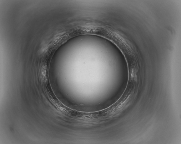 X0000111001396200906191541