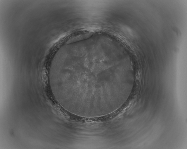 X0000111001398200906191541