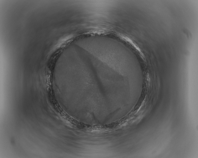 X0000111001399200906191541