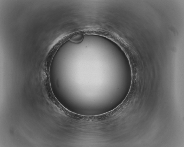 X0000111001400200906191541