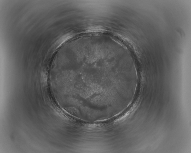 X0000111001401200906191541