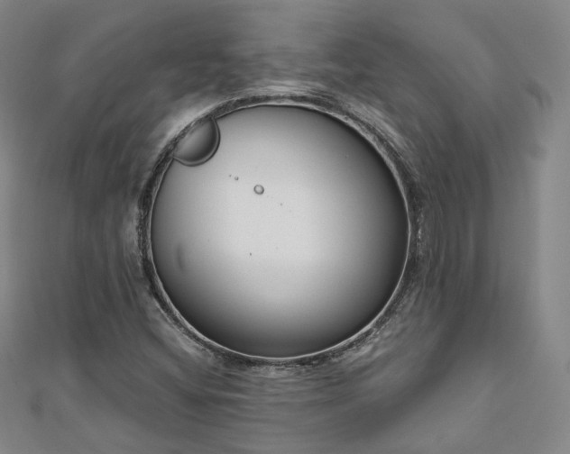 X0000111001404200906191541