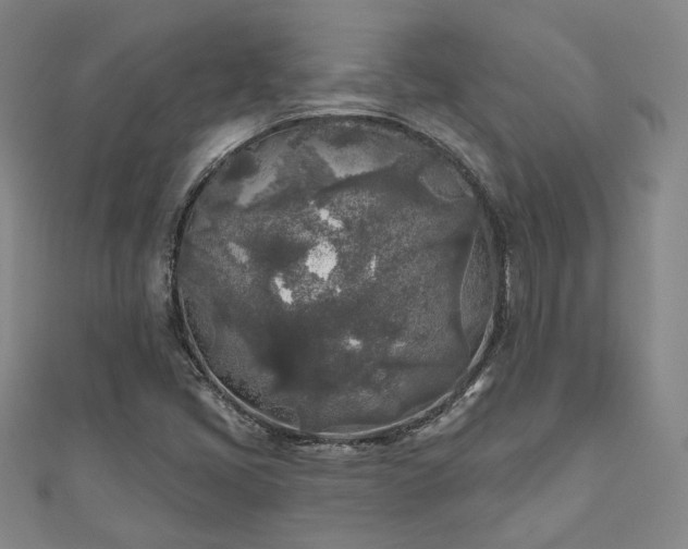 X0000111001405200906191541