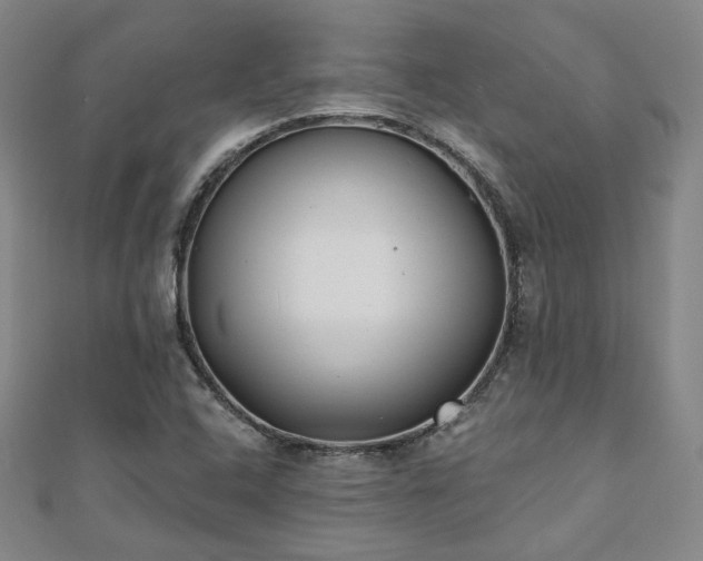 X0000111001408200906191541