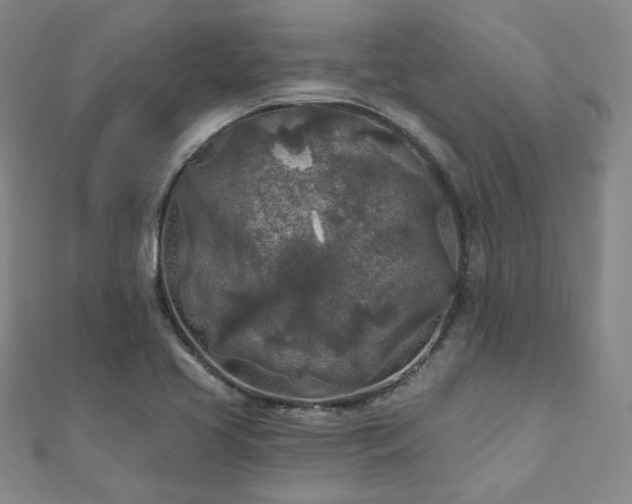 X0000111001413200906191541