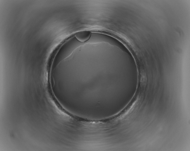 X0000111001414200906191541