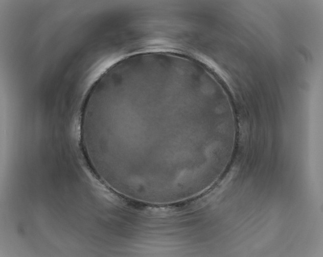 X0000111001415200906191541