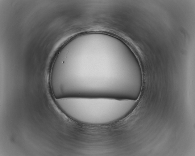 X0000111001416200906191541