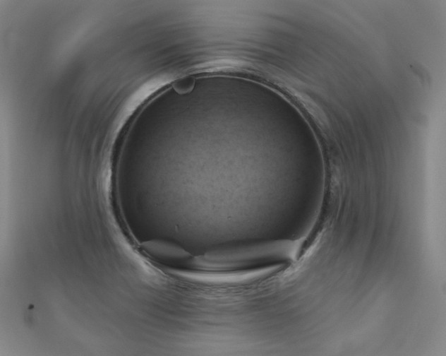 X0000111001418200906191541