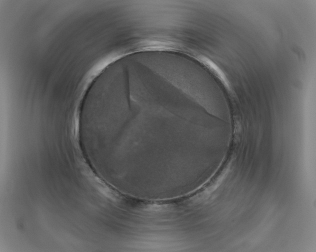 X0000111001419200906191541