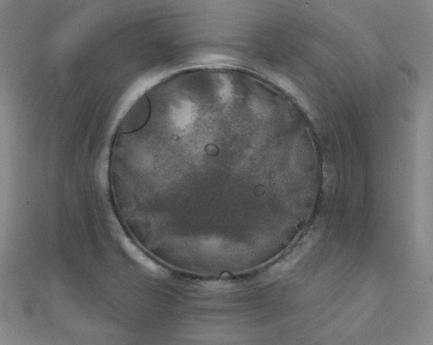 X0000111001421200906191541
