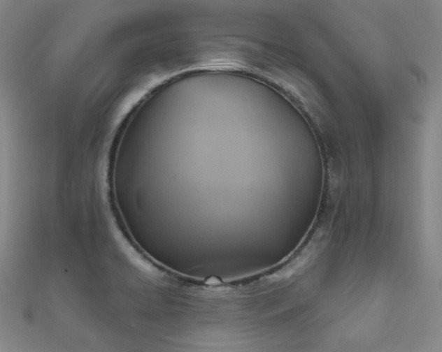 X0000111001422200906191541