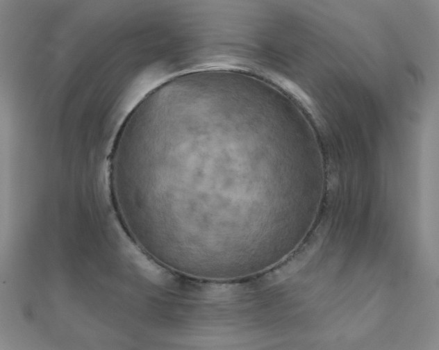 X0000111001423200906191541