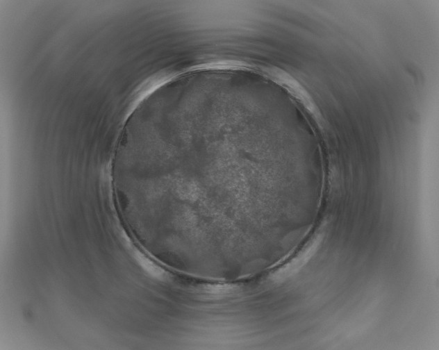 X0000111001425200906191541