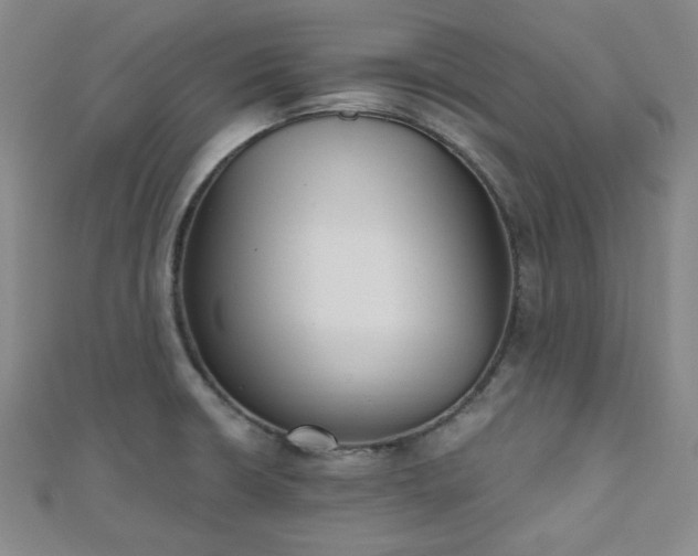 X0000111001426200906191541