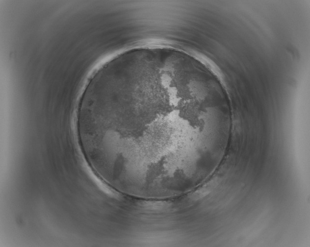 X0000111001429200906191541