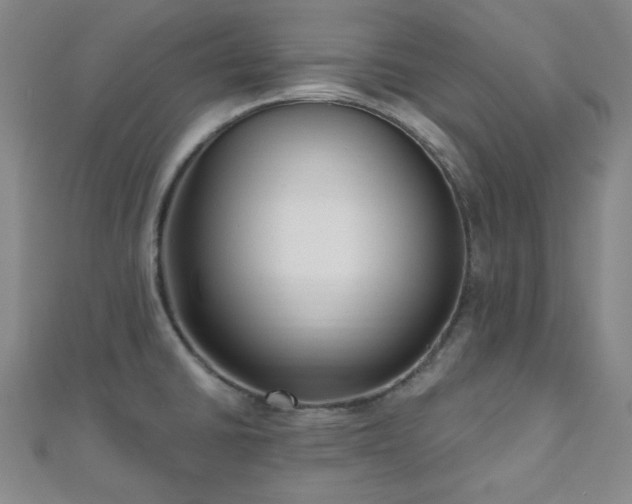 X0000111001430200906191541