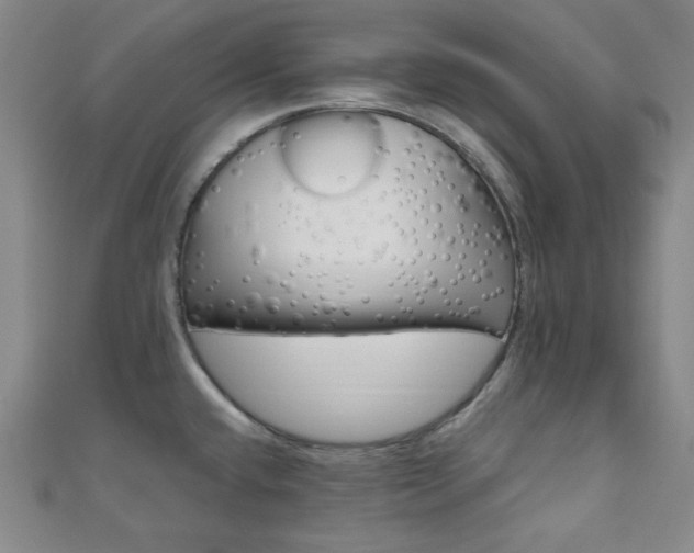 X0000111001432200906191541