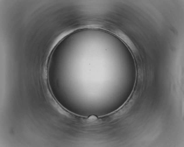 X0000111001436200906191542