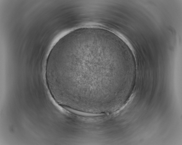 X0000111001437200906191542
