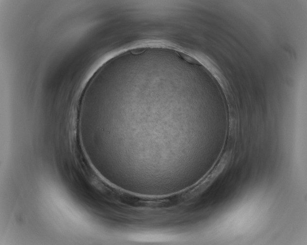 X0000111001438200906191542