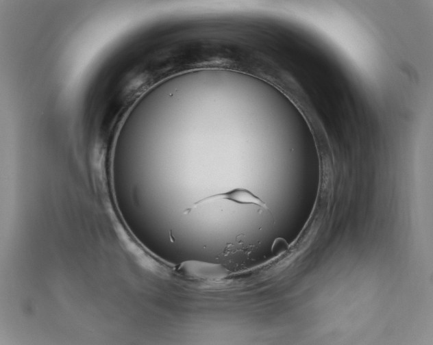 X0000111001439200906191542