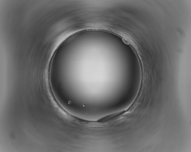 X0000111001440200906191542