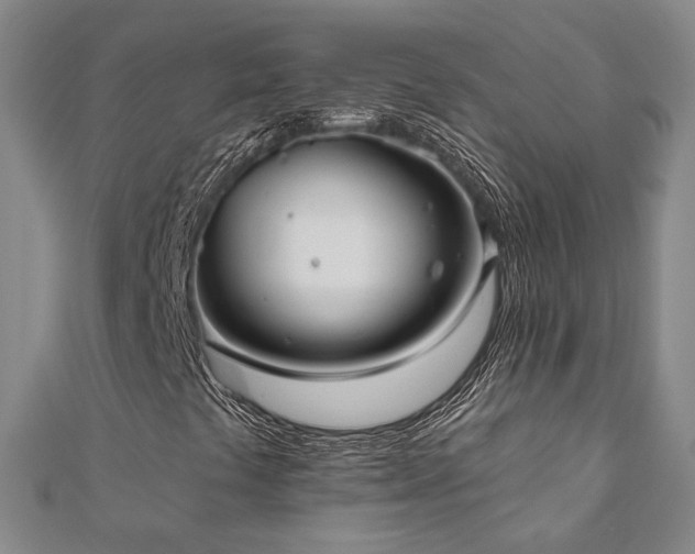 X0000111001441200906191541