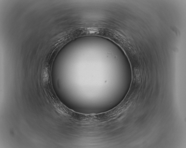 X0000111001442200906191541