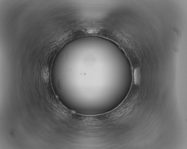 X0000111001443200906191541