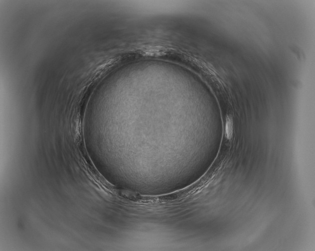 X0000111001444200906191541