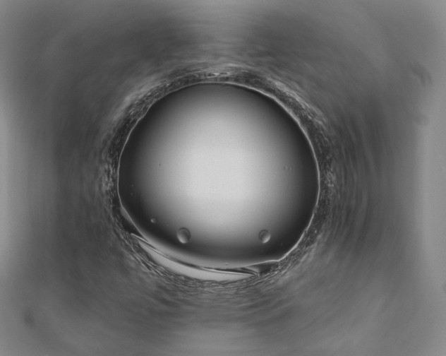 X0000111001447200906191541