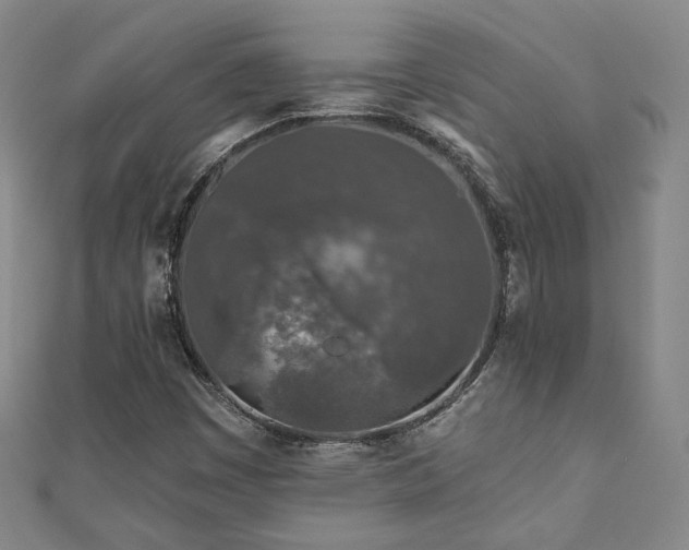 X0000111001449200906191541