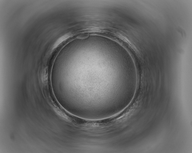 X0000111001450200906191541