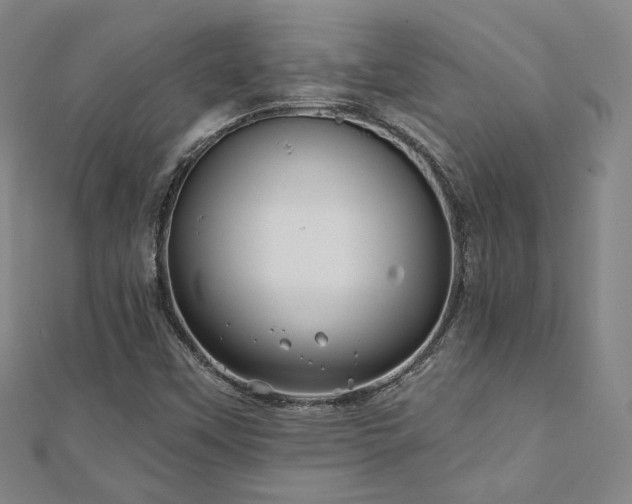 X0000111001451200906191541