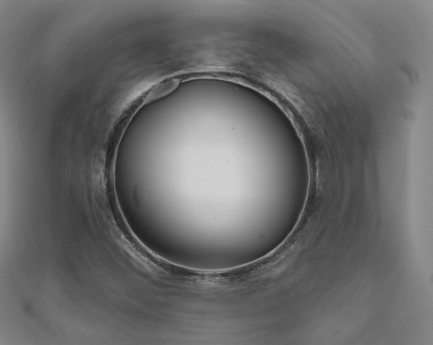 X0000111001452200906191541