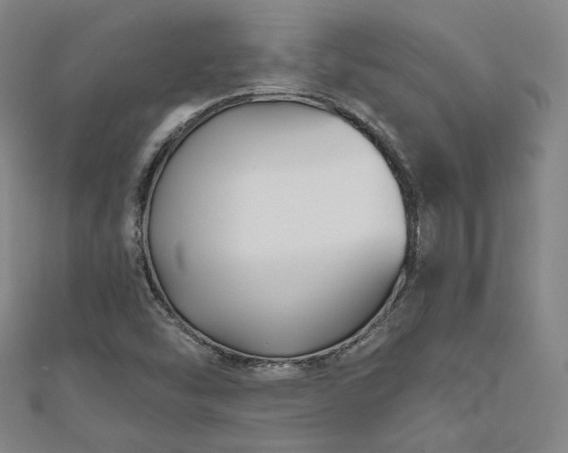 X0000111001454200906191541