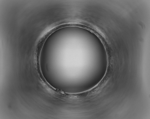 X0000111001456200906191541