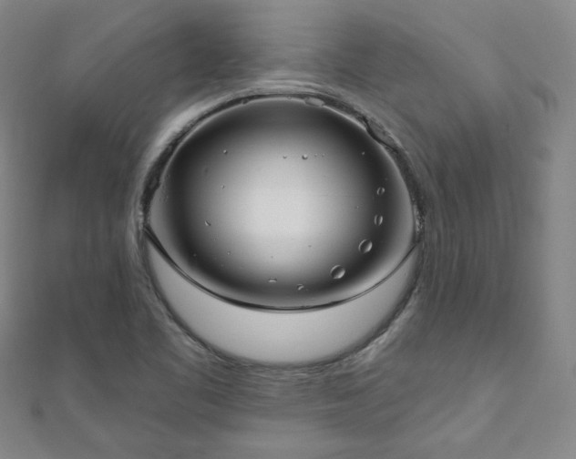 X0000111001461200906191541