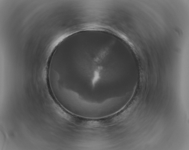 X0000111001463200906191541