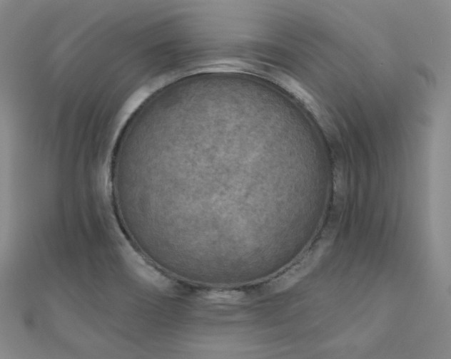 X0000111001466200906191541